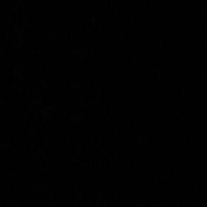 Meet your Posher, Luis